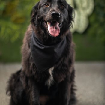 Cali Manske - CMO-Chief Morale Officer Cali Manske - CMO-Chief Morale Officer
