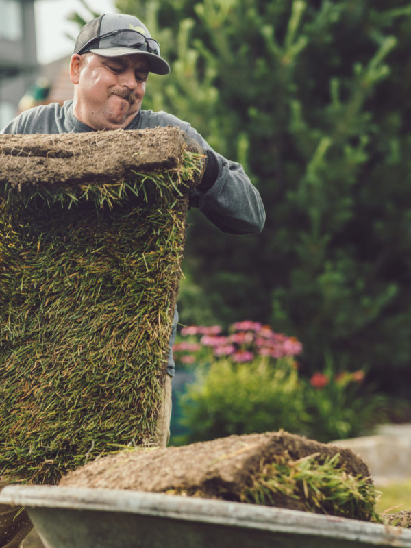 landscape services omaha Landscaping Nebraska Service | Elkhorn Lawn Care