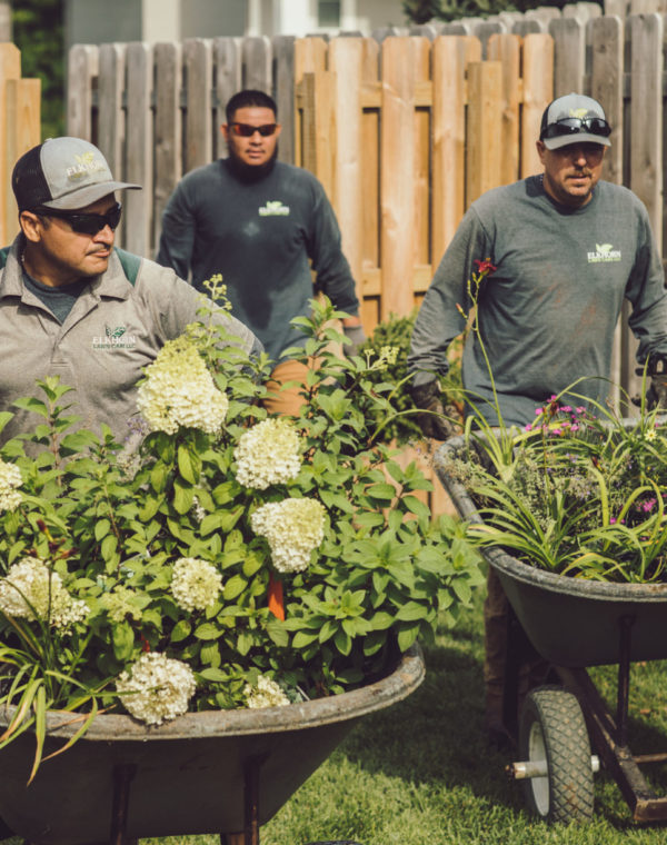 Landscaping Nebraska Service | Elkhorn Lawn Care