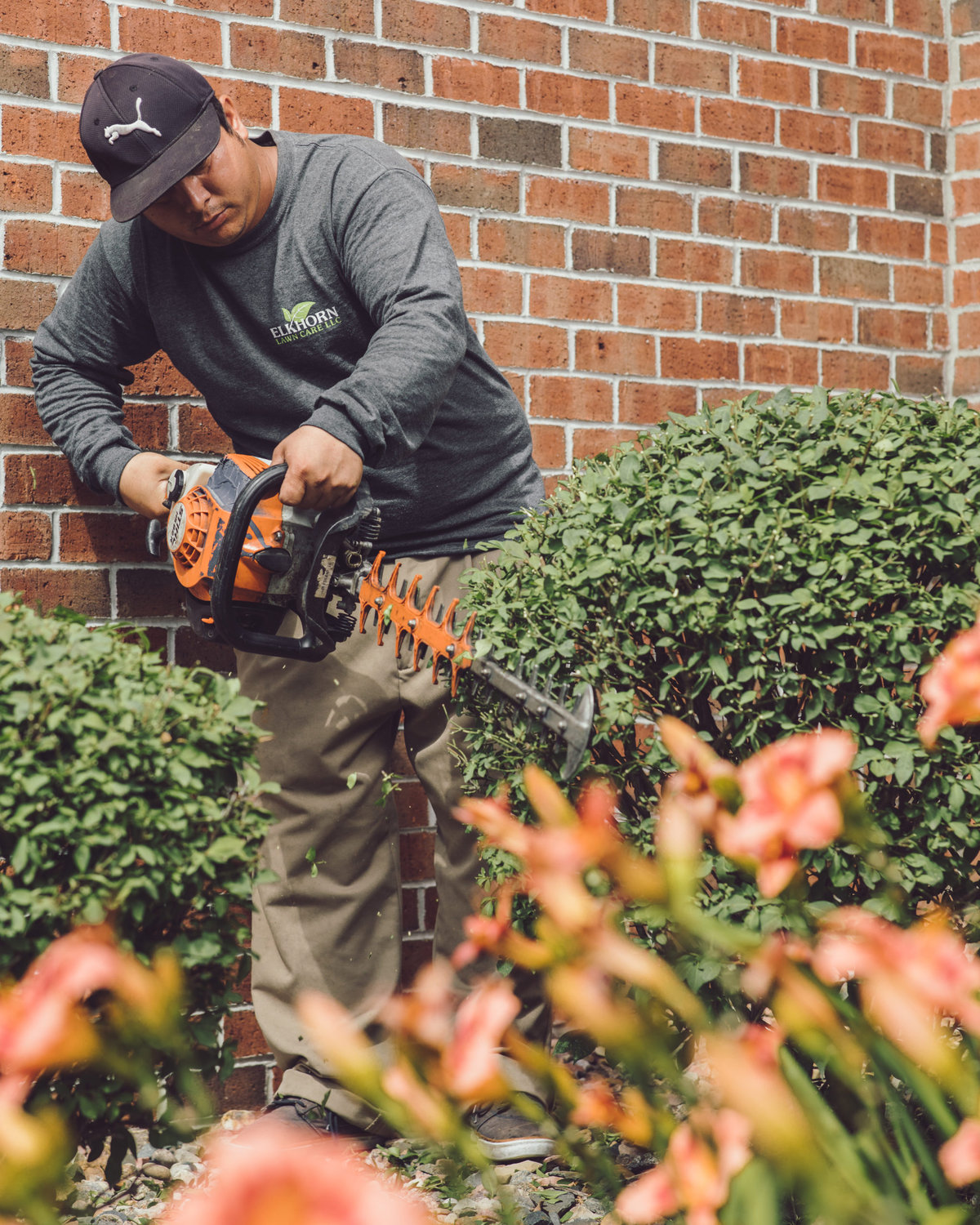 Tree Trimming Service Omaha NE | Tree Care Company