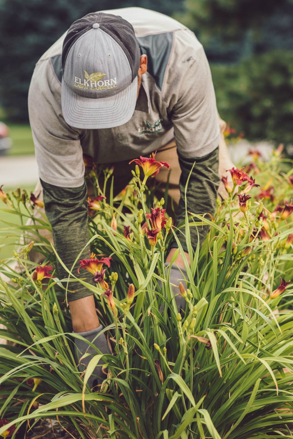 Landscaping Service Omaha NE | Lawn Landscaping Company