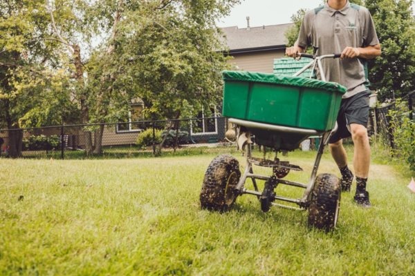 commercial mowing NE