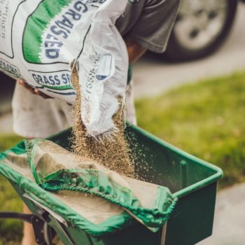 grass mowing services NE