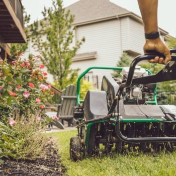 mowing the grass NE