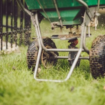 mowing the grass NE